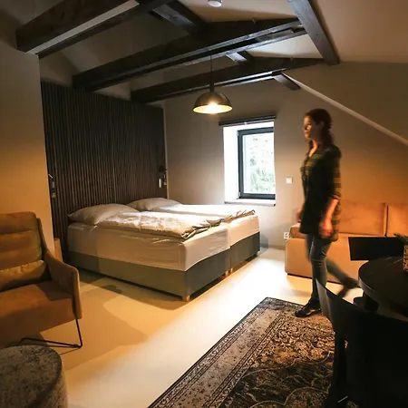 Mezi Lesy Guest house