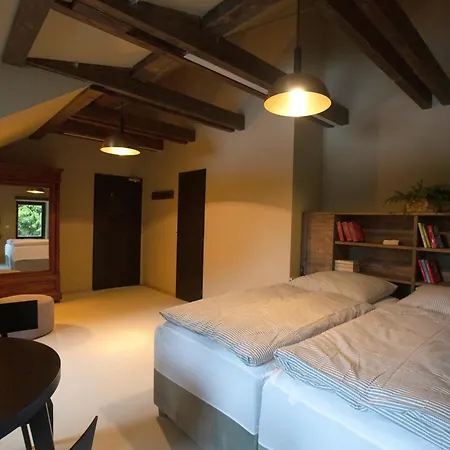 Mezi Lesy Guest house *